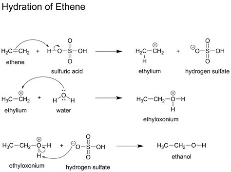 There is no chemical reaction between ethanol and water. organic chemistry - What would be the correct mechanism ...
