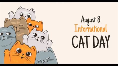National Cat Day 2023 Date History Activities Significance
