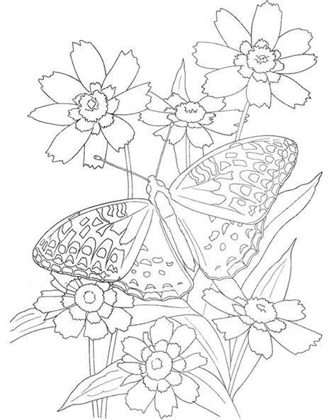 How about making your own coloring book with these printablebutterfly coloring. Butterfly and flowers | Butterfly coloring page, Butterfly ...