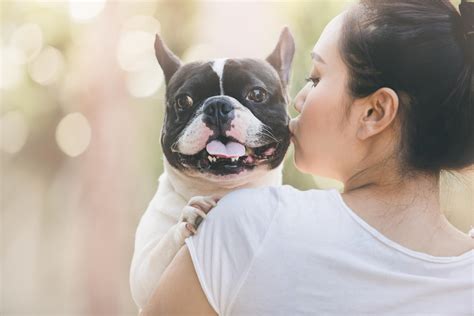 Dog Owners Kiss Pups More Than Human Partners According To New Survey