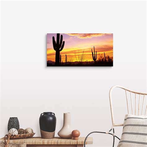Sunset Saguaro Cactus Saguaro National Park Az Wall Art Canvas Prints