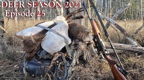 Rifle Hunting Sika Deer Opening Day Of Rifle Season Maryland