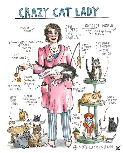 Wendy Macnaughton Artists On Tumblr Crazy Cats Cat Lady Crazy Cat Lady