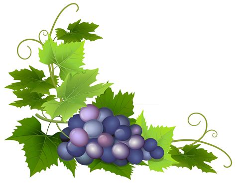 Grape Leaf Clip Art Free Download On Clipartmag