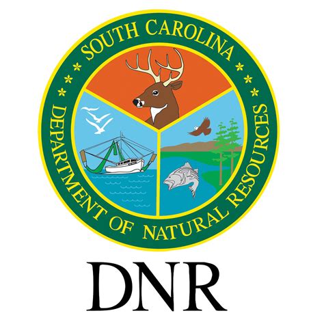 South Carolina Department Of Natural Resources Us Geological Survey