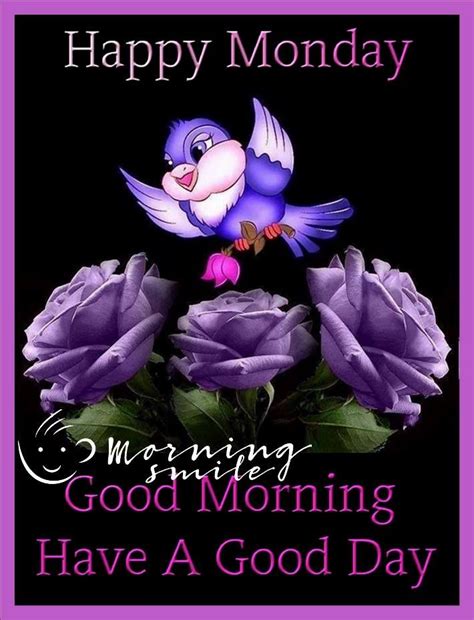 Purple Bird Rose Good Morning Monday Pictures Photos And Images For