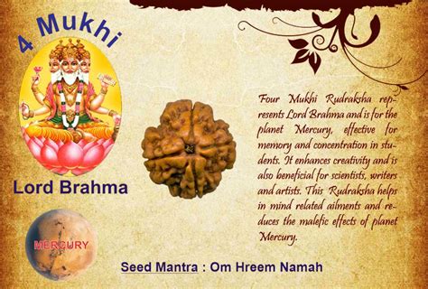 Benefits Of Four Mukhi Rudraksha Seed Mantra Om Hreem Namah God Lord