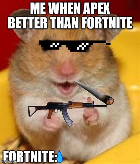 Top 10 Hamster Meme 1080x1080 Gamerpic Fortnite Imagesee