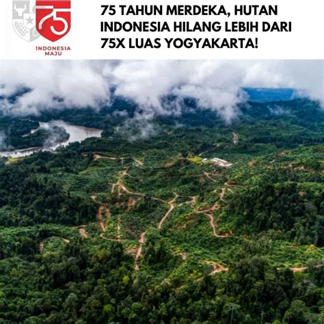 Berapa Luas Hutan Di Indonesia
