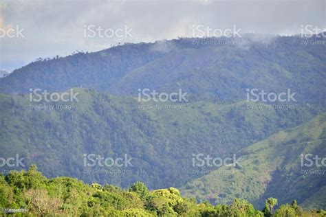 Landscape Of Green Mountain View With Blur Style Provide For Insert