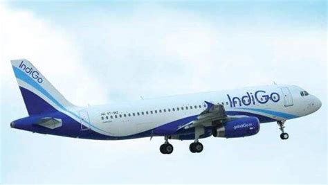 Why The Challenge To IndiGo Hasn T Taken Off Company Business News