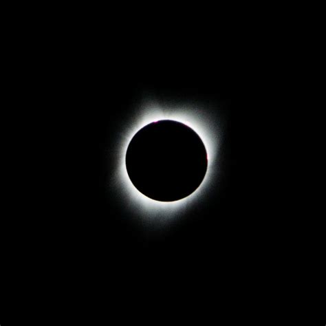 Eclipsesquare Annular Eclipse Salem Or 2017 Lizardjedi Flickr