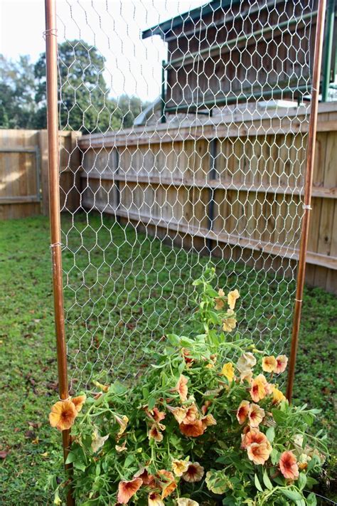 Diy How To Make A Garden Trellis Using Chicken Wire Diy Garden