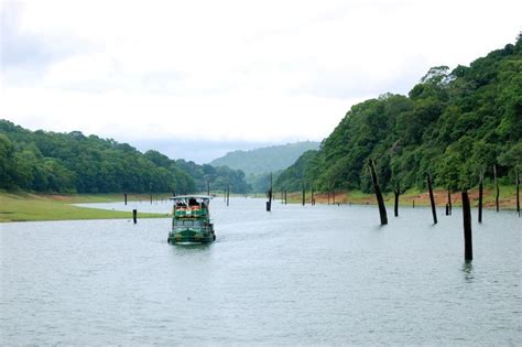 Comprehensive Guide To Periyar National Park