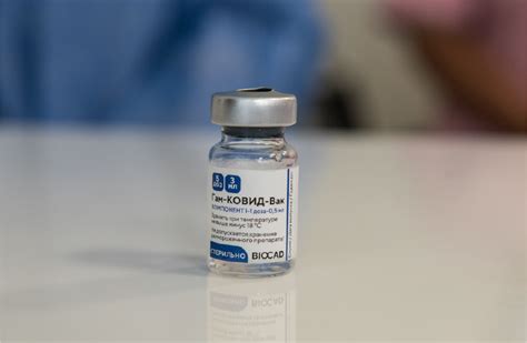 Pami, informó a sus más de cinco millones de beneficiarios que están disponibles en las farmacias de su red la vacuna contra la gripe y el neumococo.el. COVID 19: COMIENZA LA CAMPAÑA DE VACUNACIÓN | Comunidad PAMI