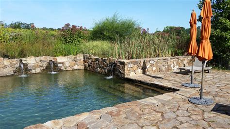 Natural Swim Ponds And Pools — Pondworks