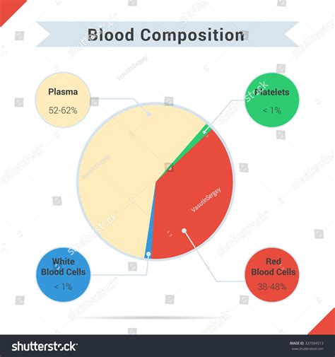 Infographics Of Blood Composition Chart Four Components Of Blood With
