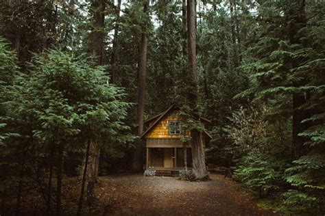 Secluded Cabins In The Woods That Are Perfect For A Getaway Others