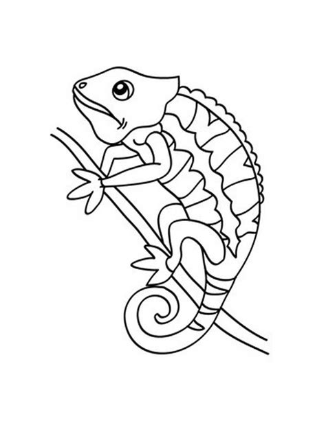 reptiles coloring pages png  file