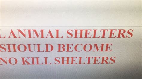 Petition · All Animal Shelters Should Become No Kill Shelters ·