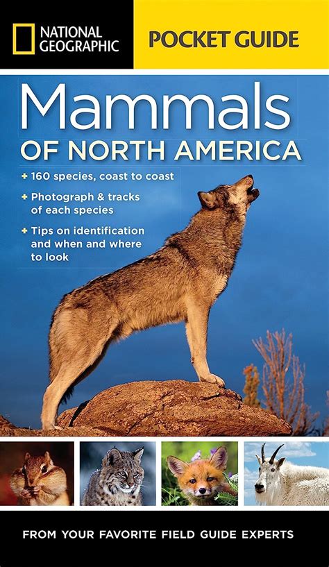 National Geographic Pocket Guide To The Mammals Of North America