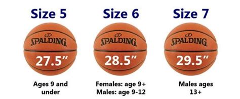 Basketball Sizes For All Ages Baloncesto Balones José Alonso