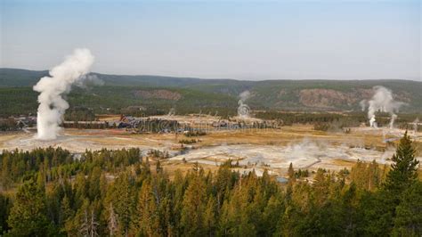 Old Faithful The Largest Geyser In The Yellowstone Stock Image Image