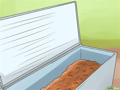 Why does sunlight kill worms in a jar? 3 Modi per Mantenere le Esche Vive - wikiHow