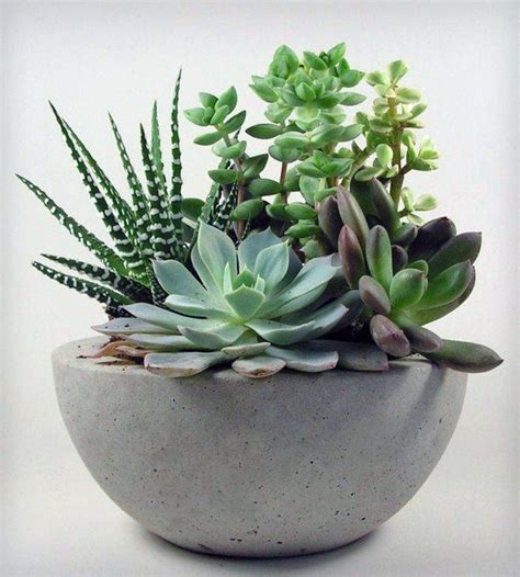 How to make your own diy concrete planters step. How to make your own concrete planter | The Owner-Builder Network