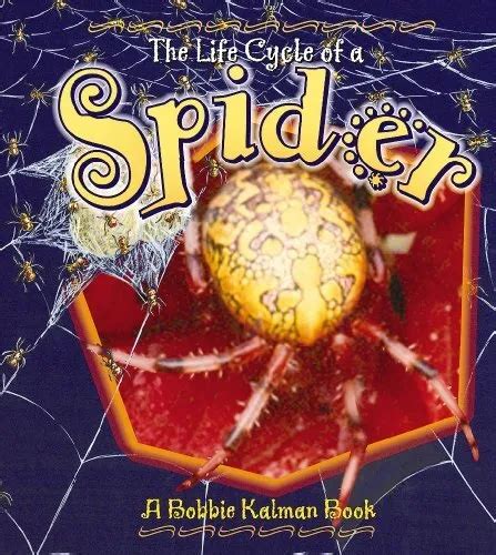 The Life Cycle Of A Spider Kalman Bobbie 769 Picclick