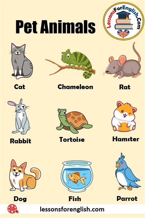 100 Pet Animals Names Definition And Example Sentences Pet Animals