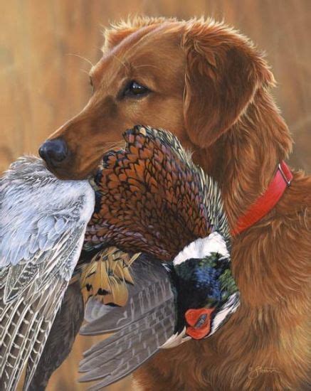 Pin By Chelsea Brooke On Hunting Hunting Dogs Hunting Dogs Breeds