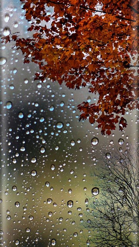 Pin By Victorya On природа Rain Wallpapers Nature Backgrounds Iphone