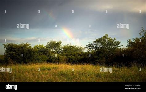 Rainbow Outdoors In The Field Stock Photo Alamy