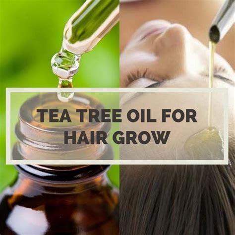 13 Effective Uses Of Tea Tree Oil For Fast And Rapid Hair Growth Hair