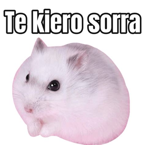 Memes Hamster 🐹