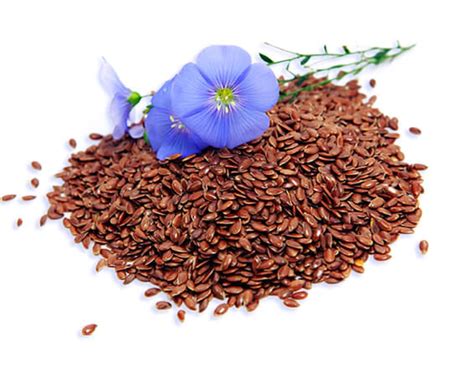I semi di lino sono una fonte concentrata di nutrienti chiave per la salute: Semi di lino macinati - bio - 200g