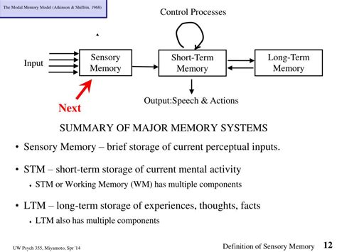 Ppt Sensory Memory Short Term Memory And Working Memory Powerpoint
