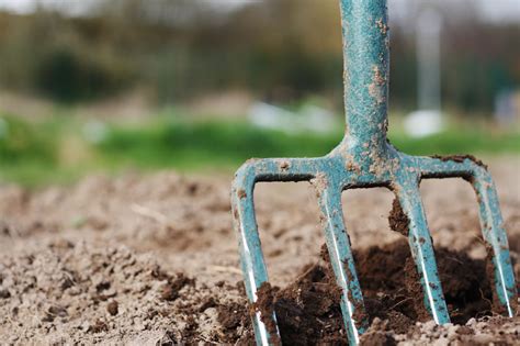 Double Digging How To Build A Better Veggie Bed Modern Farmer