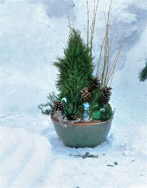 34 Inspiring Winter Container Gardening Ideas Winter Container