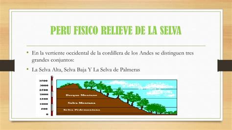 Ppt PerÚ FÍsico Relieve De La Costa Sierra Y Selva Powerpoint
