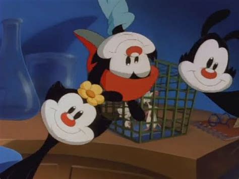 Pinky and the brain intro. Animaniacs - Pinky and the Brain intro variations (Russian ...