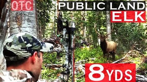 Colorado Otc Archery Elk Hunt Public Land Bow Season Youtube