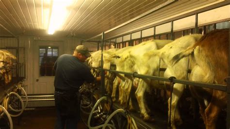 Gea westfaliasurge dematron and demax. Milking Parlor-Dennis and Elaine Schaaf Dairy Goat Farm ...