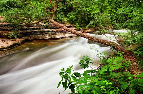 Tanyard Creek Flowing Photograph By Gregory Ballos Fine Art America
