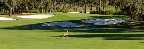 Golf Four Seasons Resort Orlando