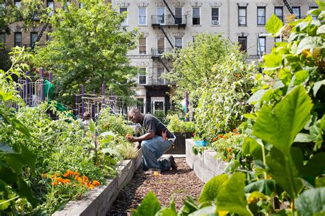 103rd Street Community Garden Architizer