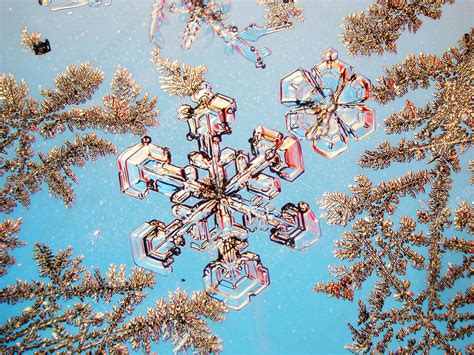 Snowflakes Stock Image E1270527 Science Photo Library