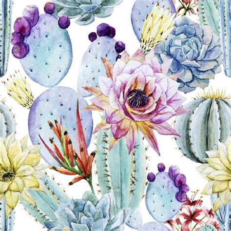 31 Watercolor Cactus Wallpaper Wallpapersafari