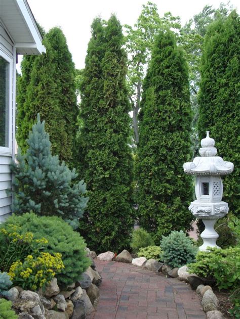 Top Best 20 Chic Front Yard Garden With Dwarf Pine Trees